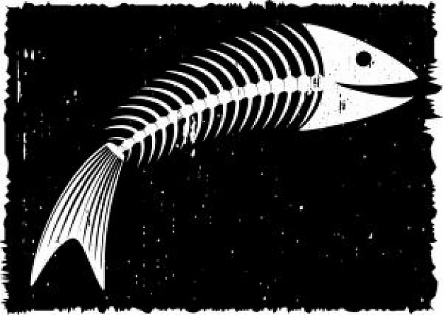 Fish Skeleton